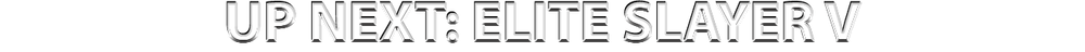 ELITE SLAYER 5 (V).png
